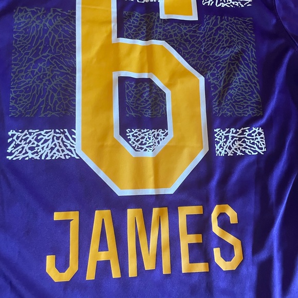 NBA LeBron James #6 Los Angeles Lakers Performance Shirt, Size Medium - Picture 5 of 7
